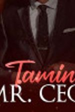 Taming Mr. CEO